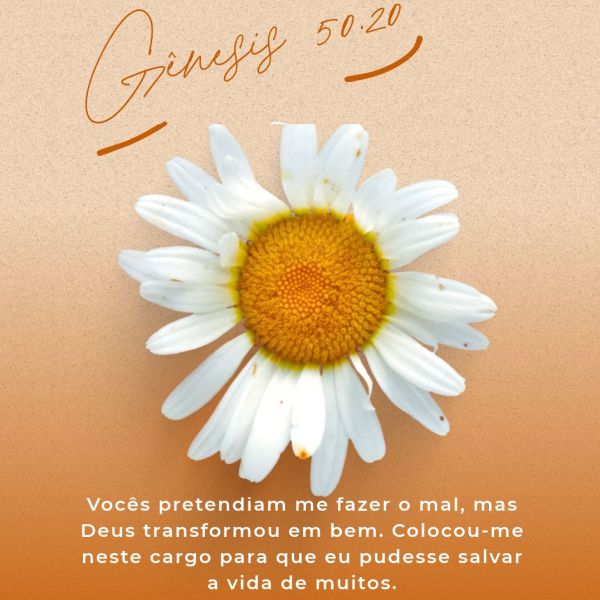 Gênesis 50:19-23