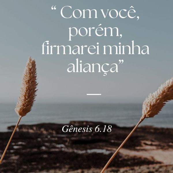 Gênesis 6:17-18