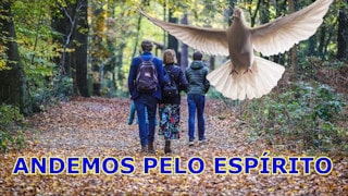 Andamos pelo espírito